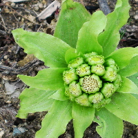 e0129137_16585353.jpg
