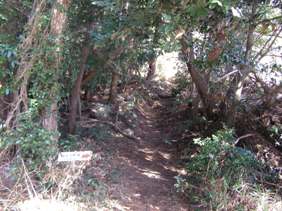 c0077338_21244393.jpg