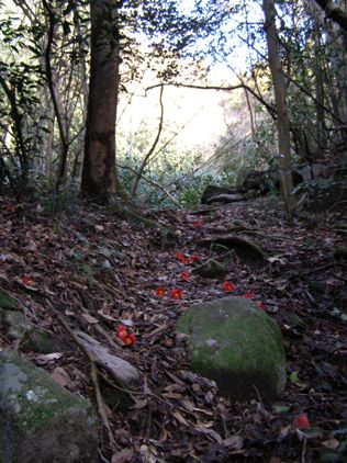 c0077338_2124577.jpg