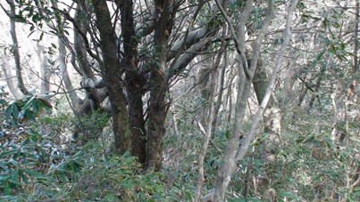c0077338_21284999.jpg