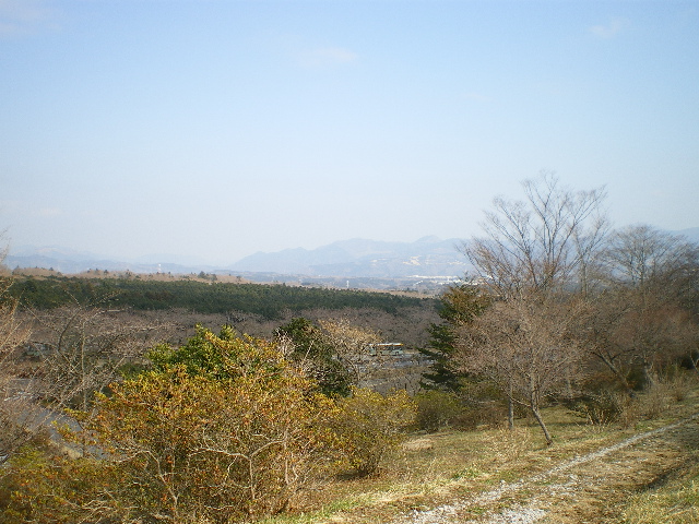 d0110340_19405284.jpg