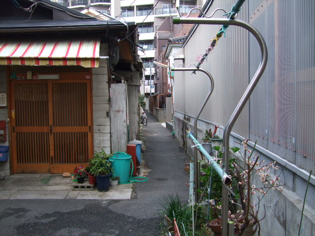 b0060646_22421591.jpg