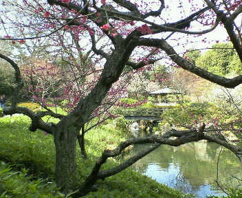 f0073848_1241129.jpg