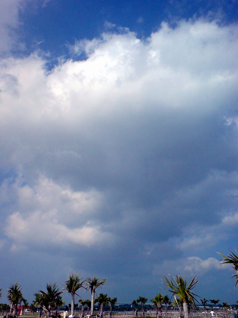 e0050449_20185613.jpg