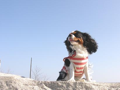 c0145250_1047918.jpg