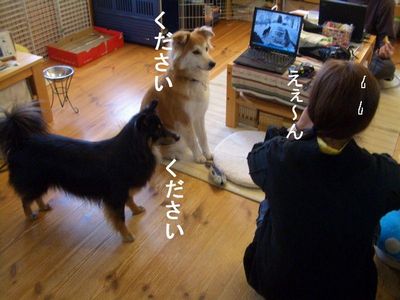 e0019550_21314986.jpg