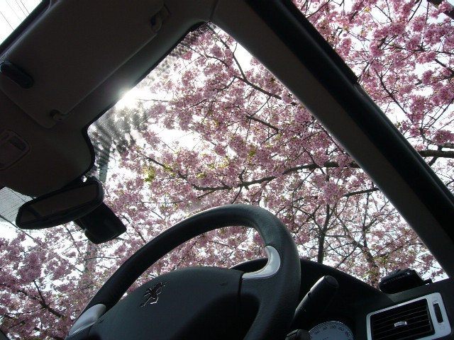f0091250_16265591.jpg