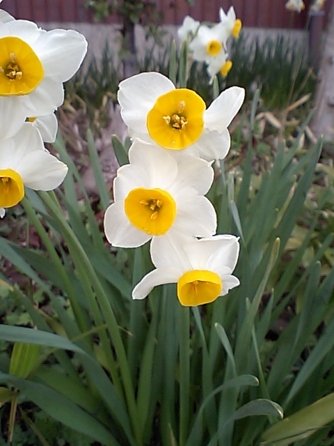 e0106851_16415199.jpg