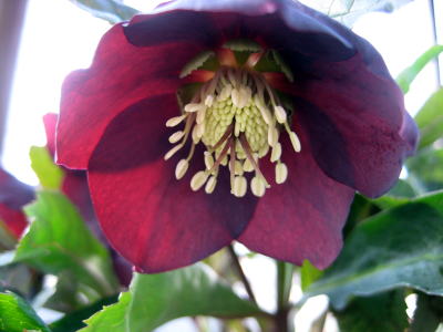 c0147952_16554511.jpg