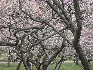 a0021558_22211752.jpg