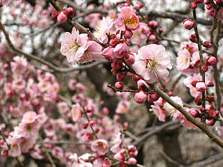 a0021558_2226976.jpg