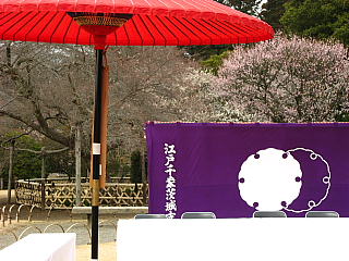 a0021558_22275914.jpg