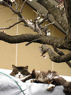 a0021558_2236267.jpg