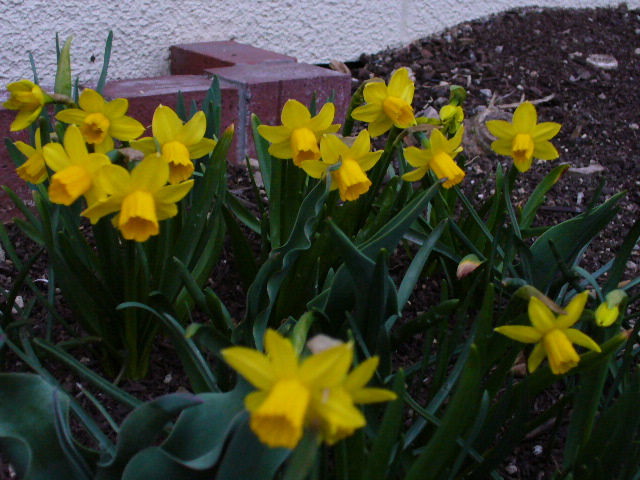 f0074659_2231898.jpg