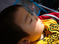 c0027965_1841022.jpg