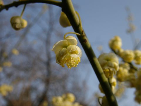 c0042869_19454327.jpg