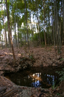 c0070372_13571047.jpg