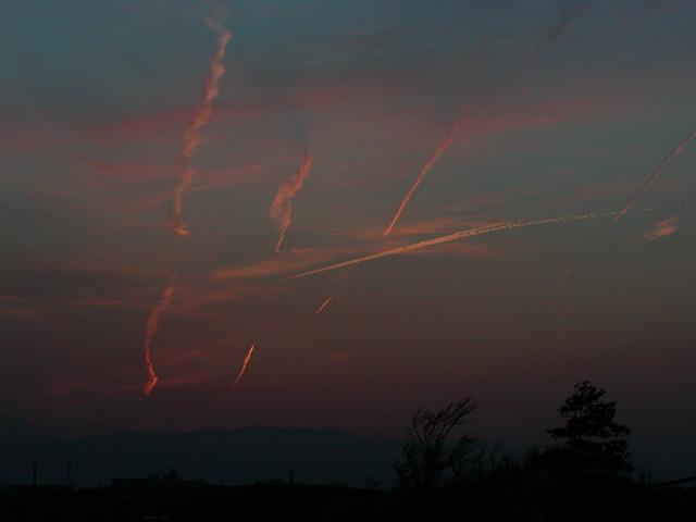 c0073377_2021169.jpg