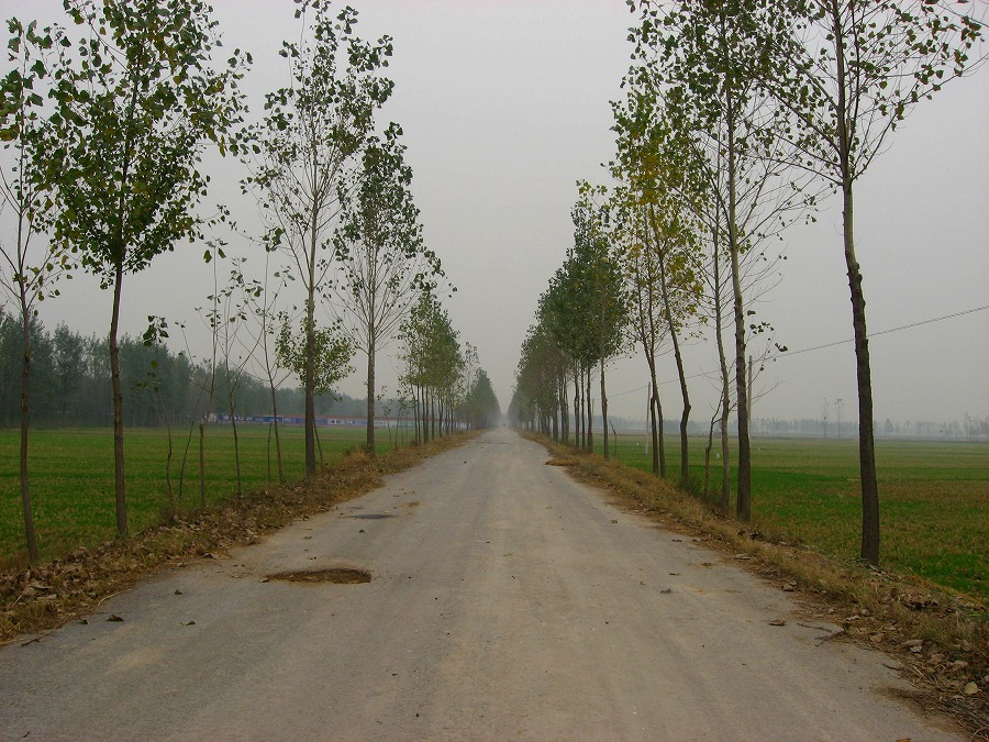 f0118777_1241222.jpg