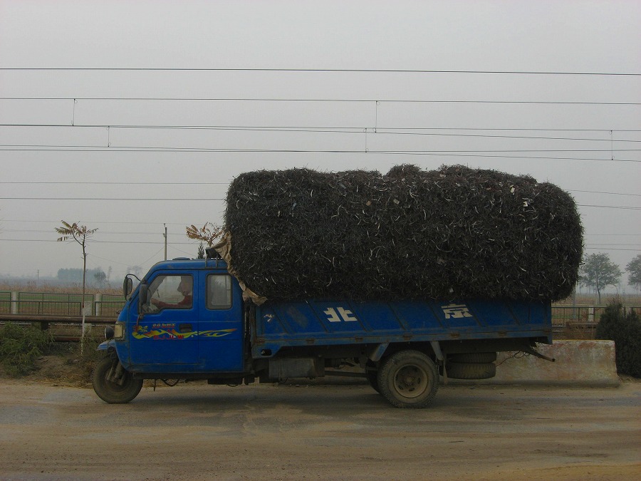 f0118777_12441075.jpg