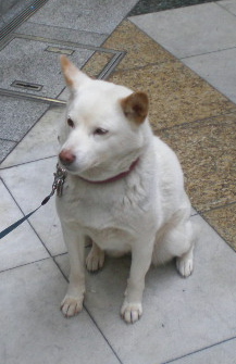 f0007580_2336939.jpg