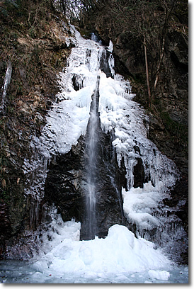 e0010185_22443969.jpg