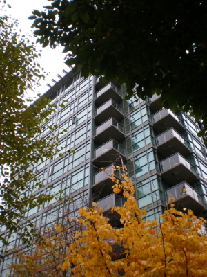 d0129786_18244310.jpg