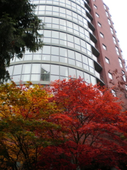 d0129786_18271414.jpg