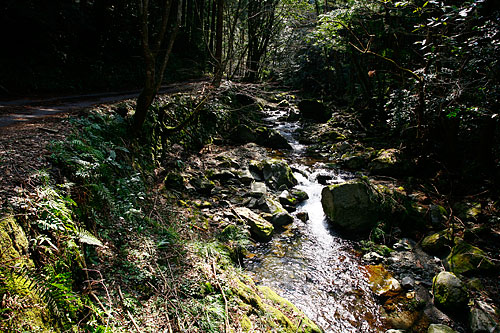 c0038290_21141833.jpg
