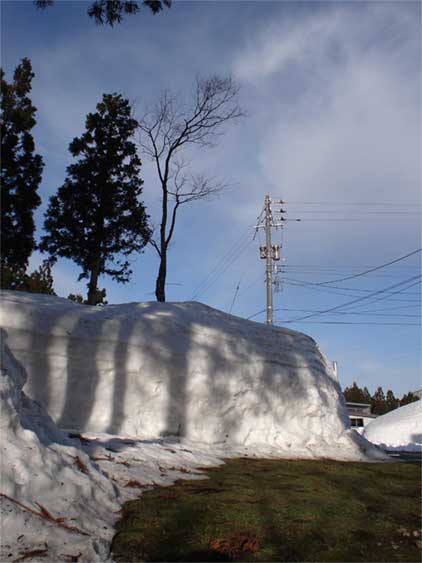 a0061599_8161856.jpg