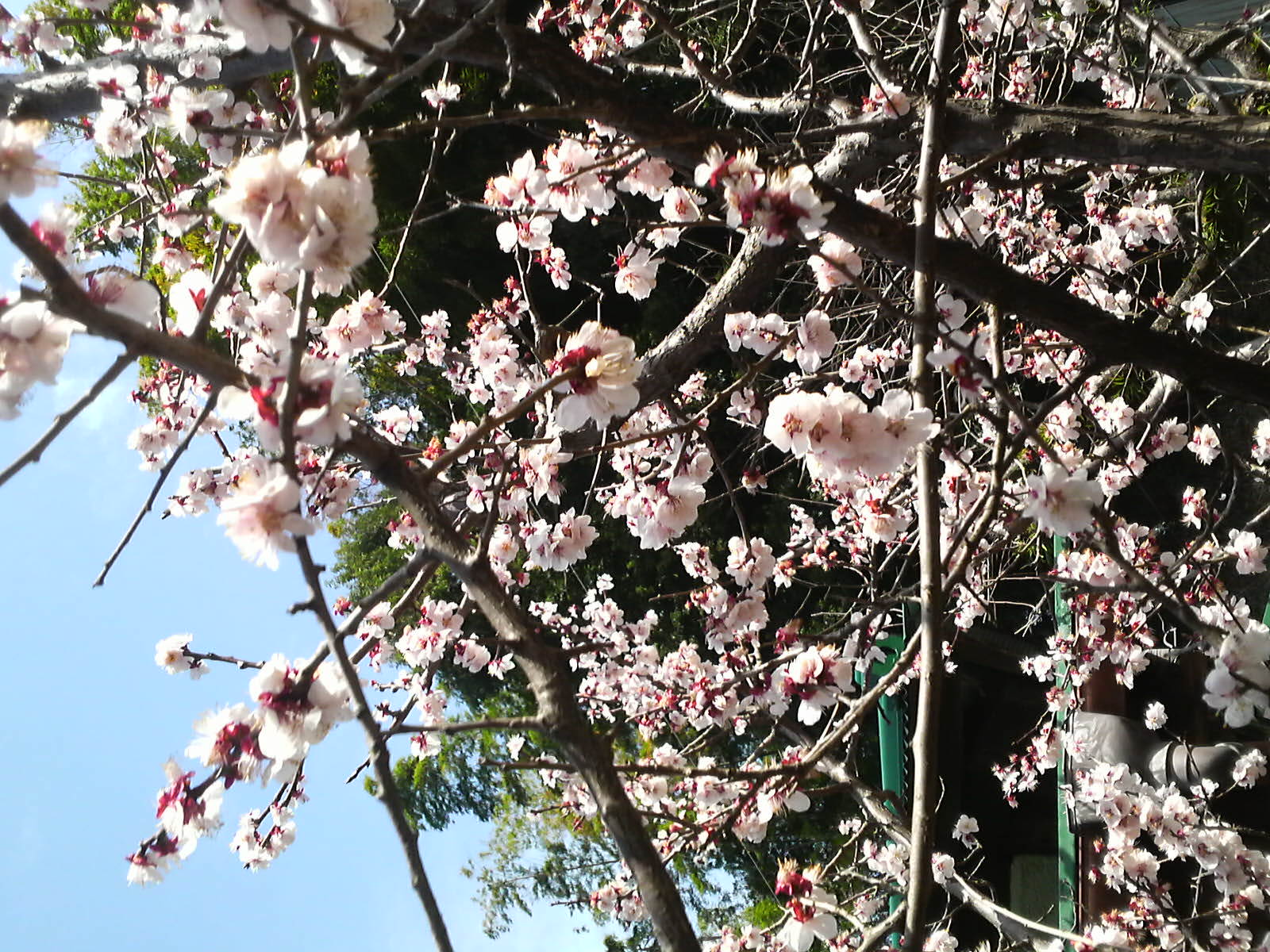 a0013200_9274397.jpg