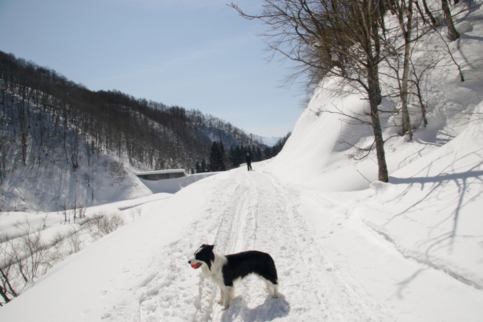 f0034602_20112763.jpg