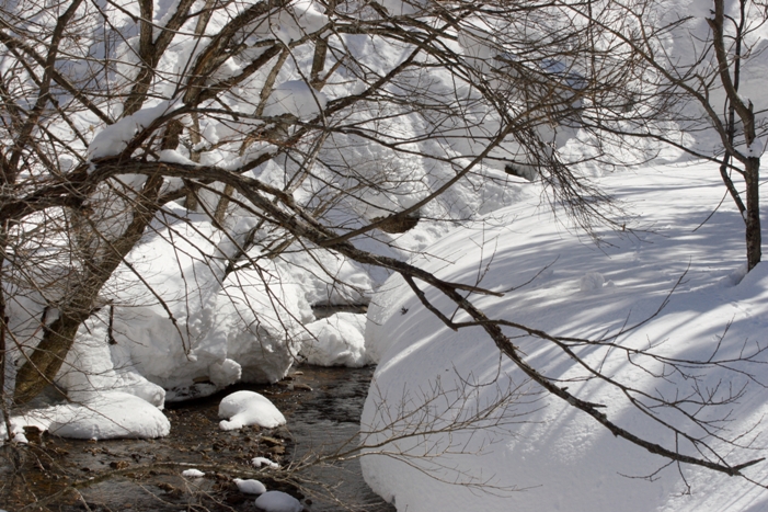 f0034602_201579.jpg