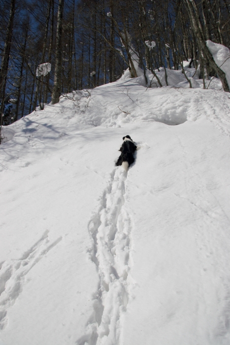 f0034602_20184692.jpg