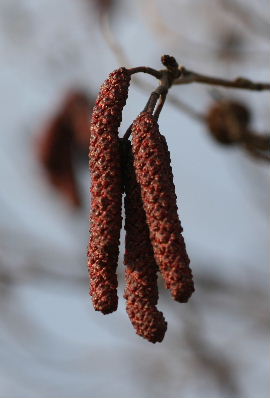 f0041606_21533036.jpg