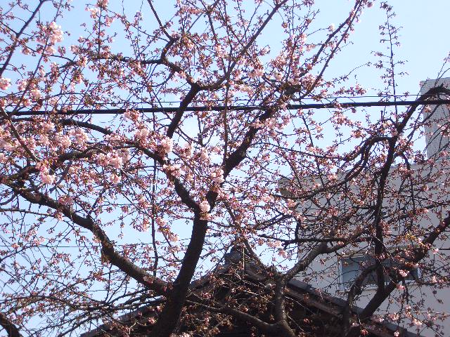c0152507_5523760.jpg