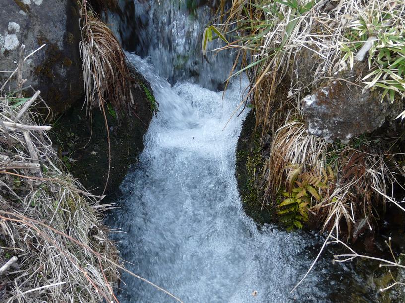 c0086014_23111060.jpg