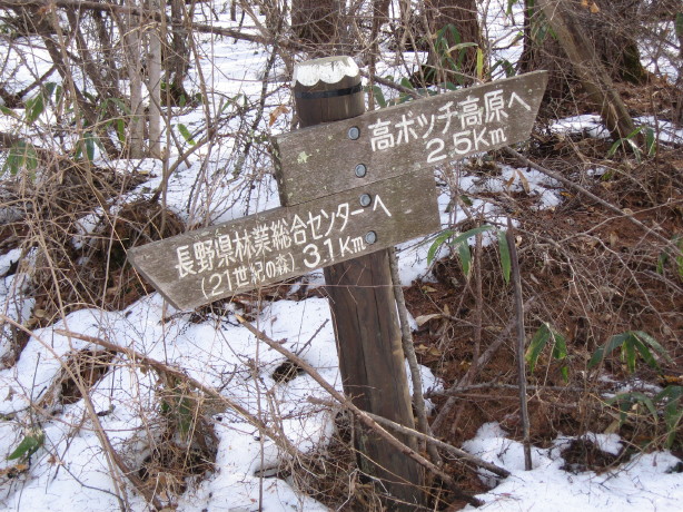 d0103314_10454953.jpg