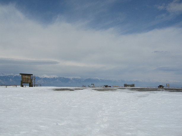 d0103314_10545687.jpg