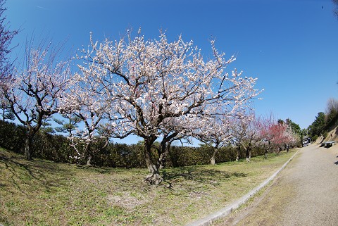 f0046614_2135528.jpg
