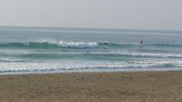 f0116314_185668.jpg