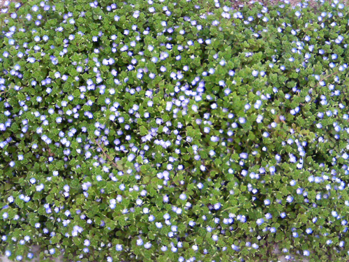 f0107315_2592856.jpg