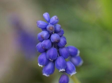 c0042418_913960.jpg