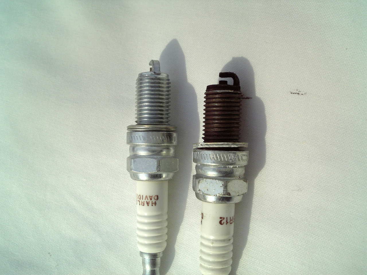 e0019320_13131296.jpg