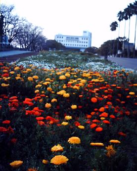 e0130321_23242939.jpg