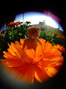 e0130321_23272543.jpg