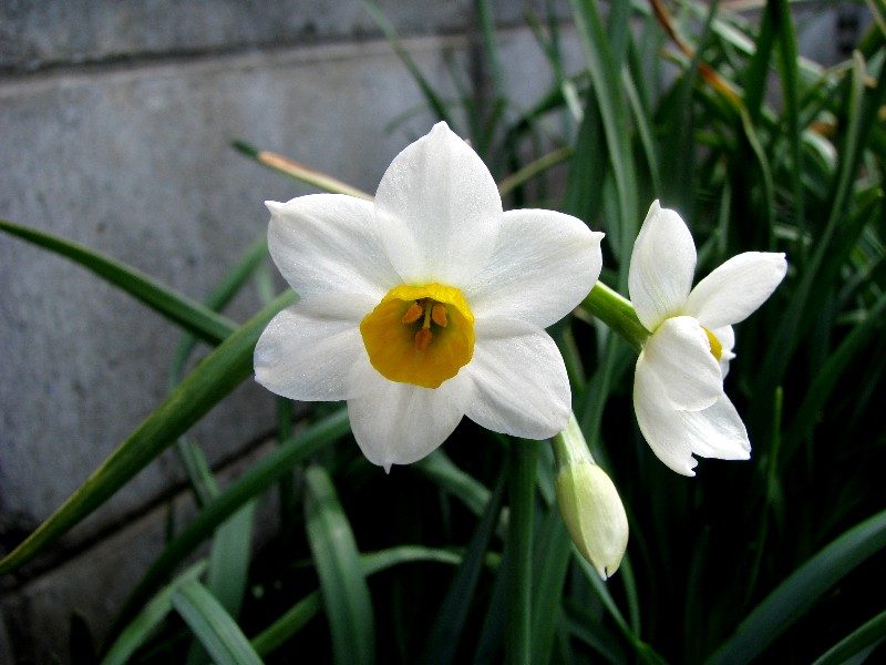 a0004023_21465927.jpg