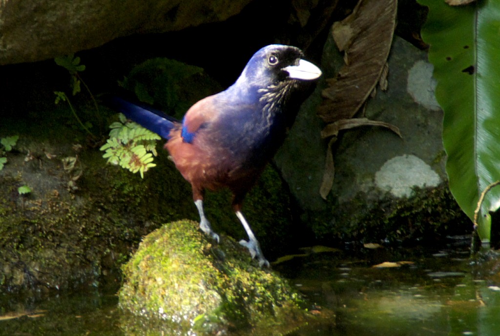 d0053930_657167.jpg