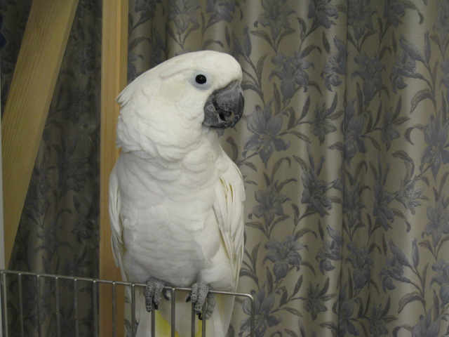 e0107730_2334263.jpg