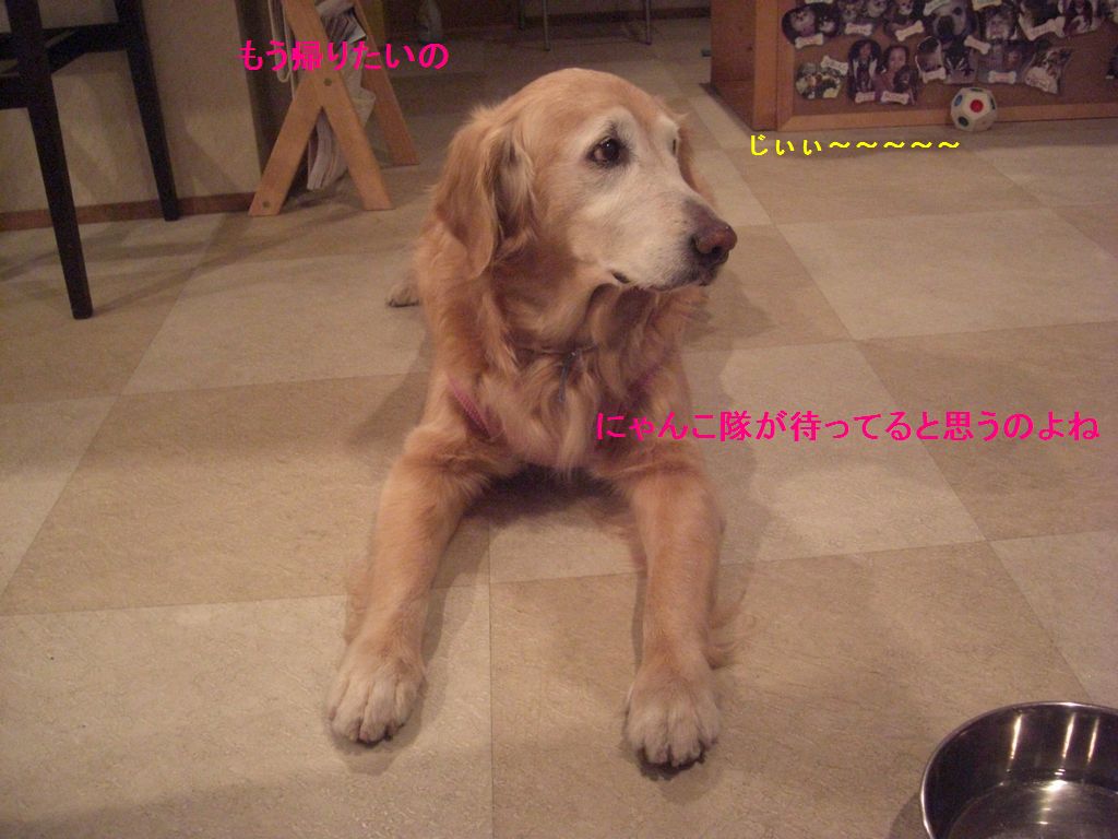 e0142430_23304890.jpg